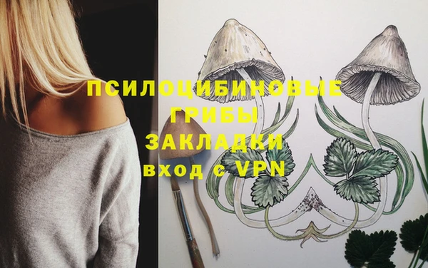 мяу мяу мука Армянск