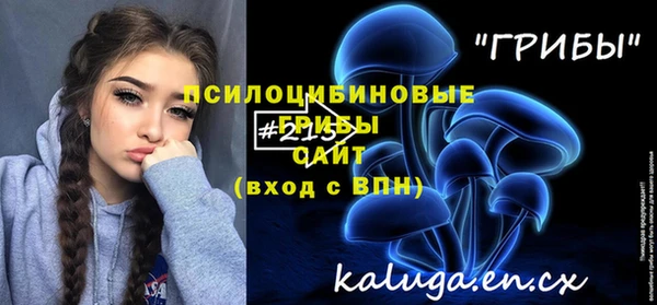 спайс Баксан