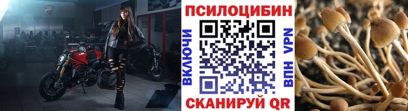 Галлюциногенные грибы Psilocybine cubensis  Купить где  Сычёвка 